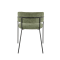 Bridge Frene